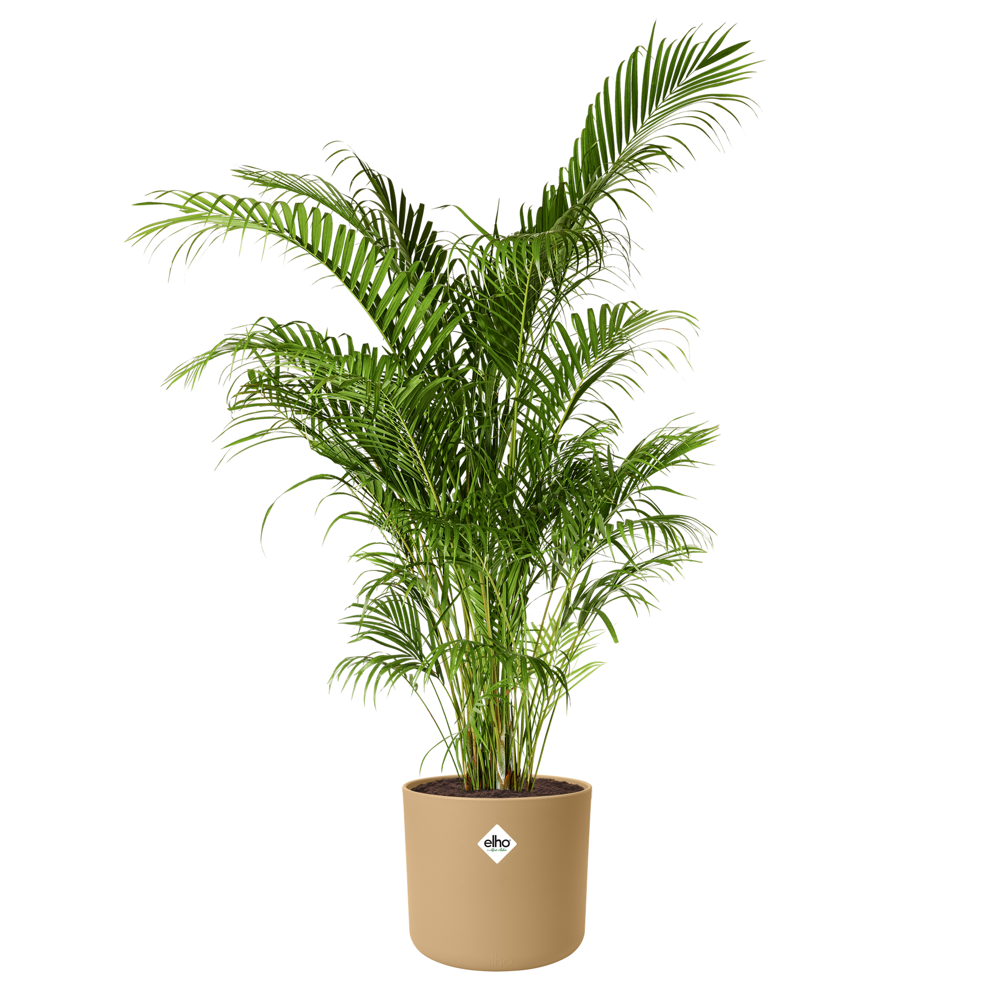 EVA SOLO Caraffa Termica Da 1,0 Litro, 100% Antigoccia, Interno In Vetro, Colore Sabbia Dorata, Design Danese